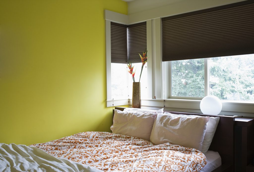 How Window Shades Can Transform a Room