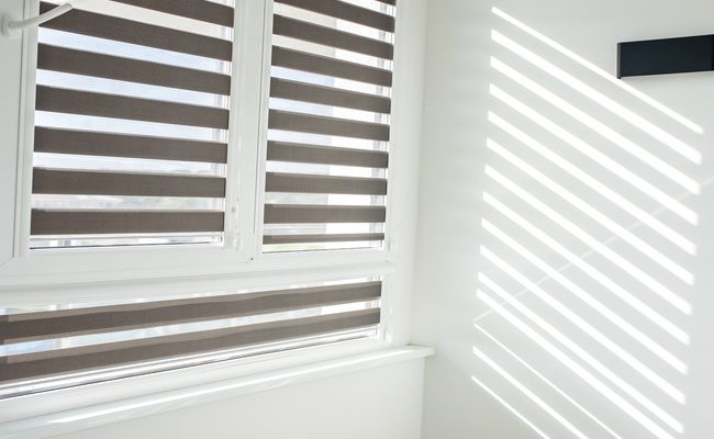 Double layered window blind