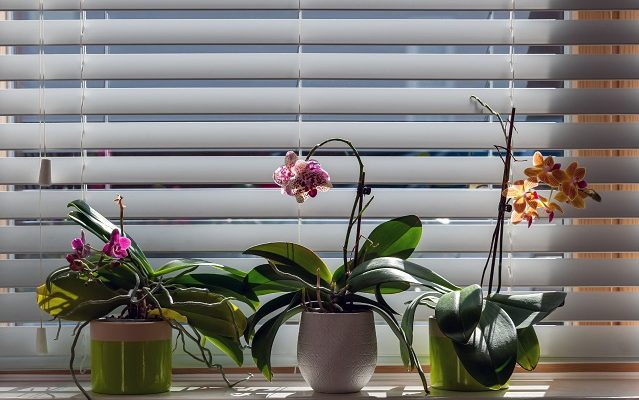 Revamp Your Room with Beautiful Window Treatments