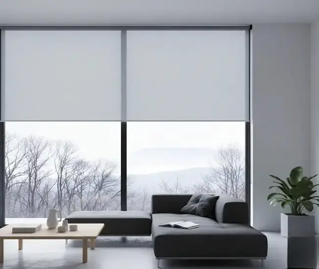 Winter Rollers Blinds