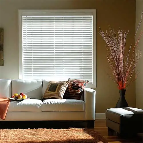 Mini Blinds in a Living Room