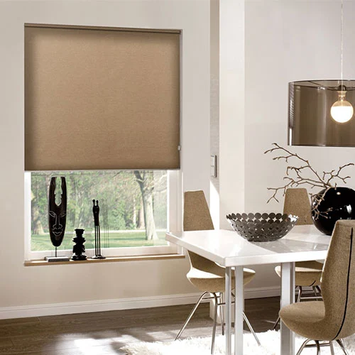 Light Filtering Roller Shades Exclusive