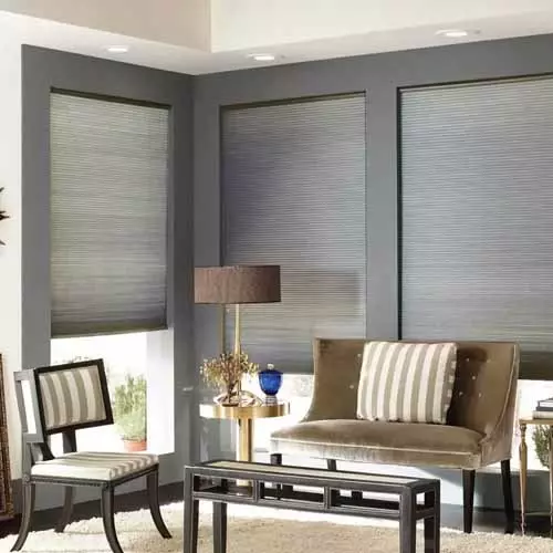 Double Cellular Light Filtering Shades Elite 