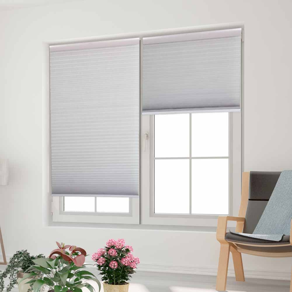 Double Cellular Light Filtering Shades Living Room 4