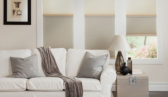 DISCOUNT TOP DOWN BOTTOM UP CELLULAR SHADES